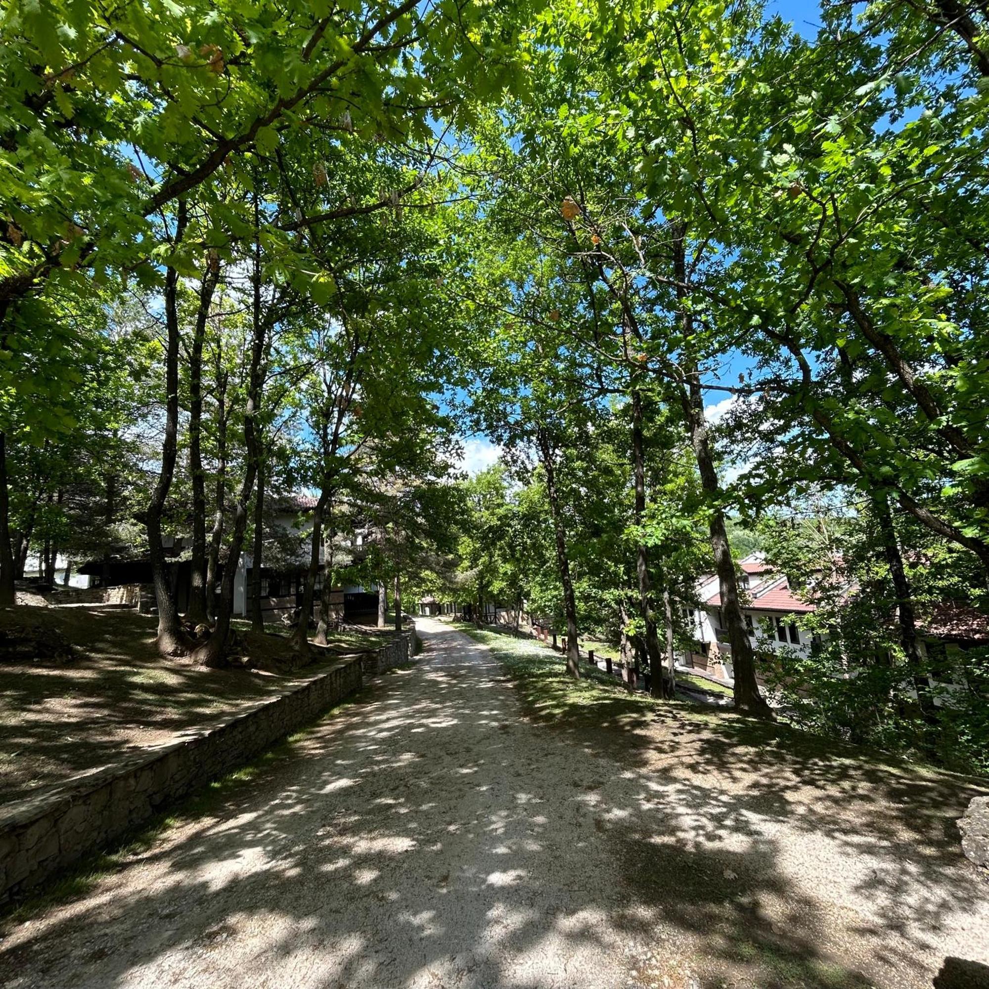 Геша Форест Dryanovo  Exterior photo